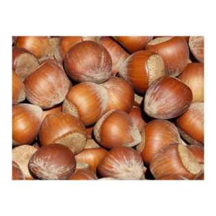 Hasselnötter med skal 5kg från