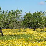 Nora Jacobsen Zeiher