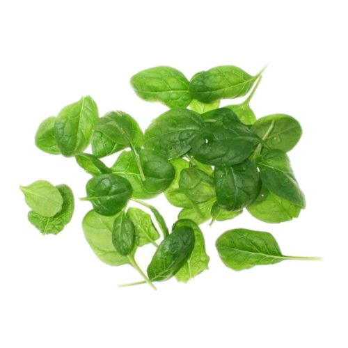 Babyspenat 100g 8ask från Ortobellina