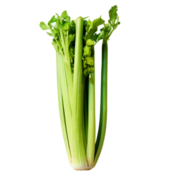 Blekselleri 14st från