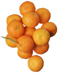 Klementiner 6kg från Salamita