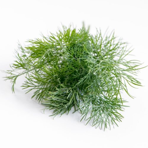 Dill 20kn från Marcellofarms
