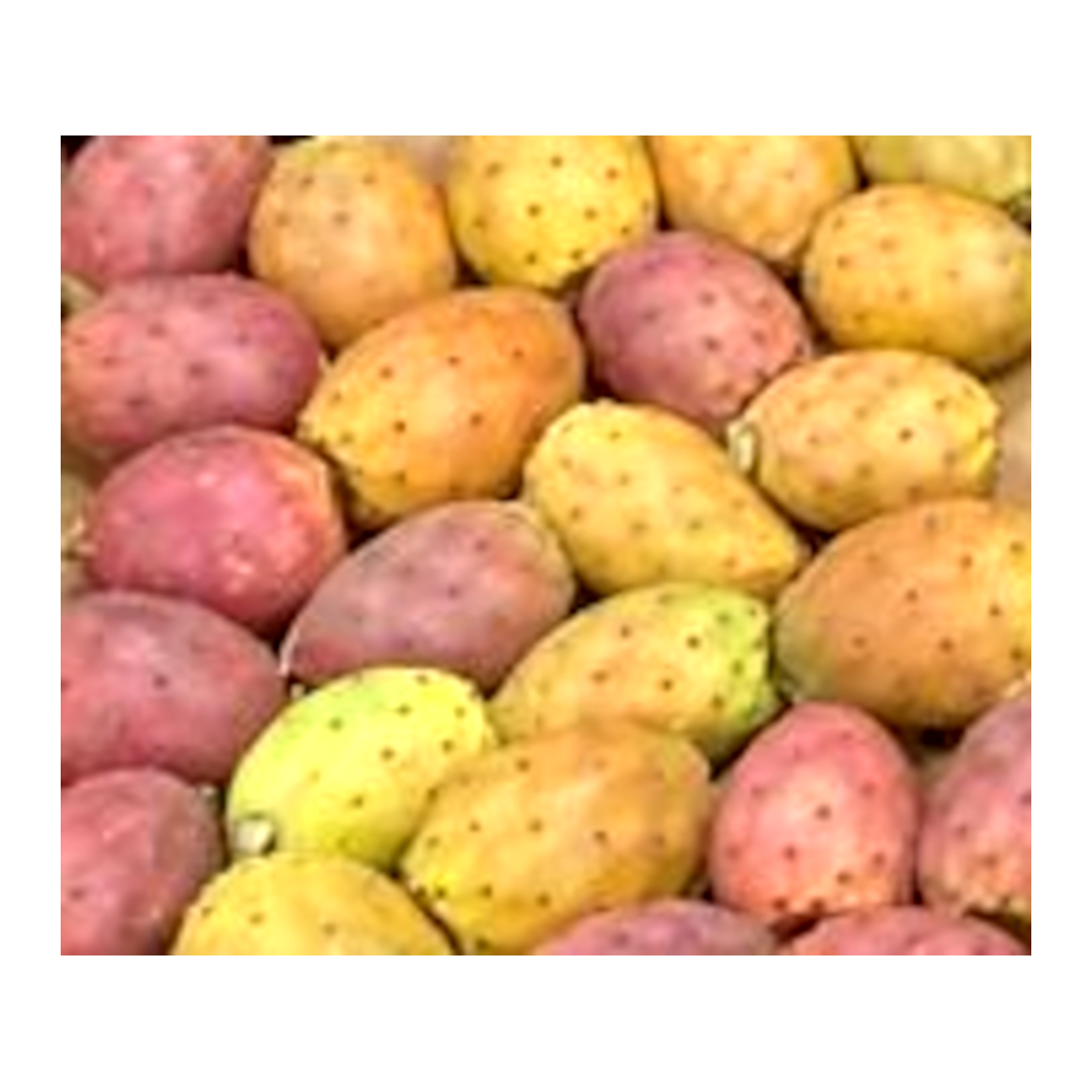 Galiamelon 5kg från