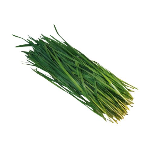 Gräslök