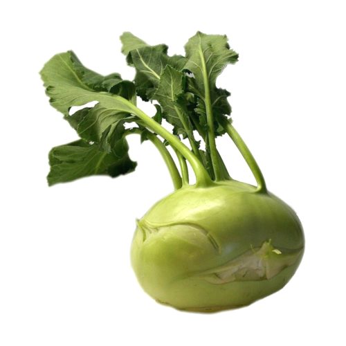 Kålrabbi 18st från Jonica