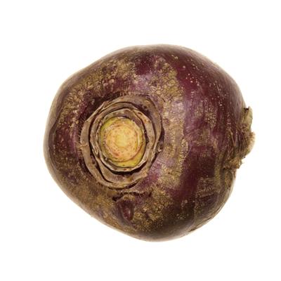 Kålrot 10kg från Solmarka