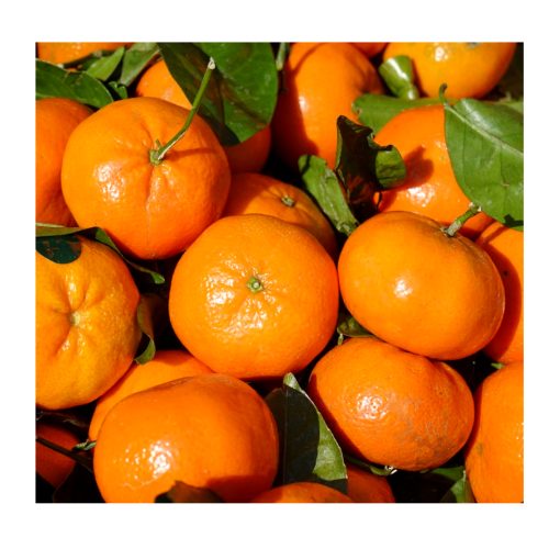 Mandarin m blad 6kg från Campobello