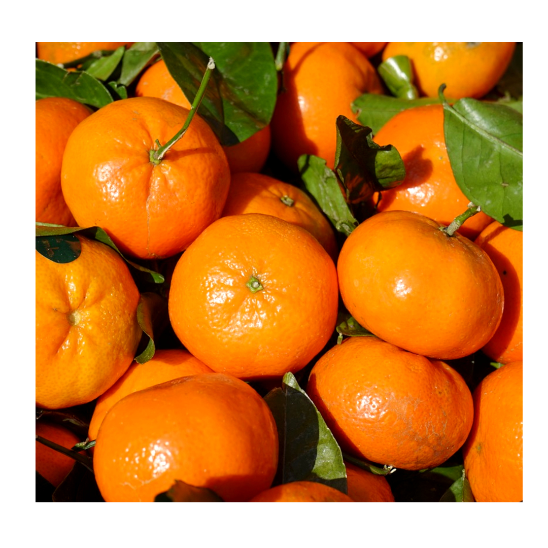Mandarin m blad 6kg från Campobello