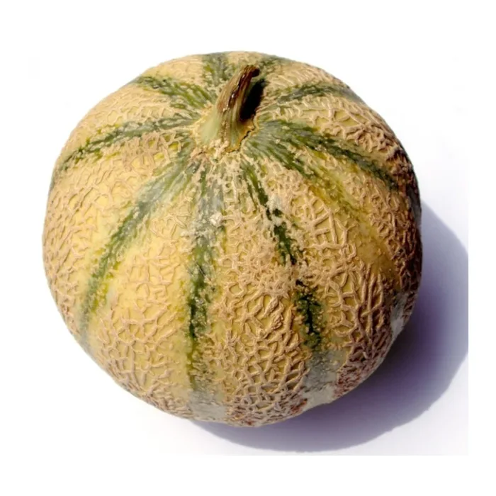 Charantaismelon