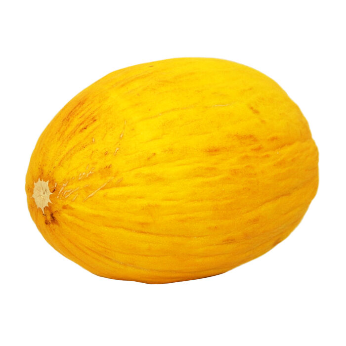 Honungsmelon 16kg från Jonica