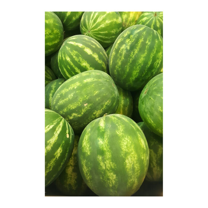 Minivattenmelon 11kg från