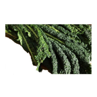 Svartkål 3kg från Marcellofarms