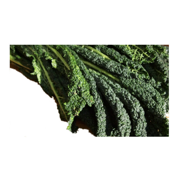 Svartkål 3kg från Marcellofarms