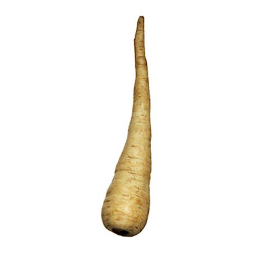 Palsternacka 5kg från