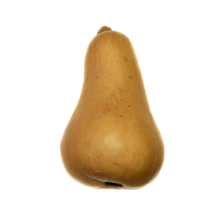 Hokkaido 10kg från Jonica