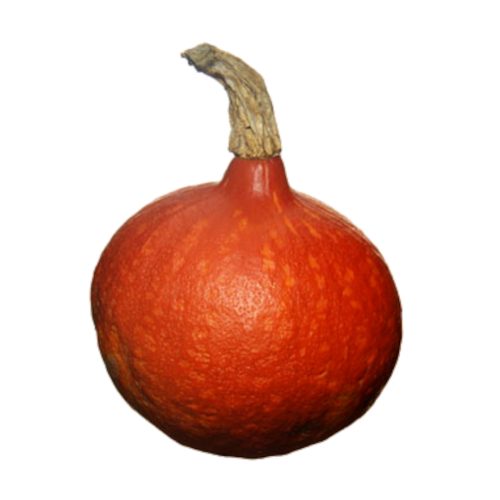 Hokkaido 10kg från