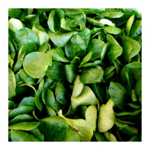 Maché 100g 8ask från Ortobellina