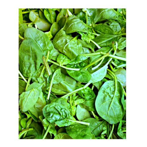 Spenat 5kg från